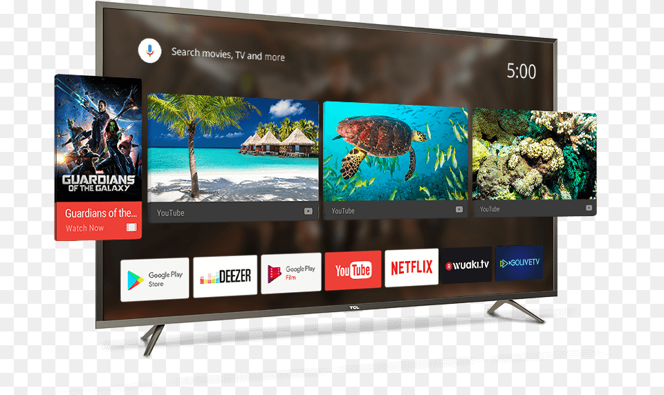 Download Samsung Tv Lg Smart Roku Tv Hd 4k, Animal, Turtle, Sea Life, Screen Png