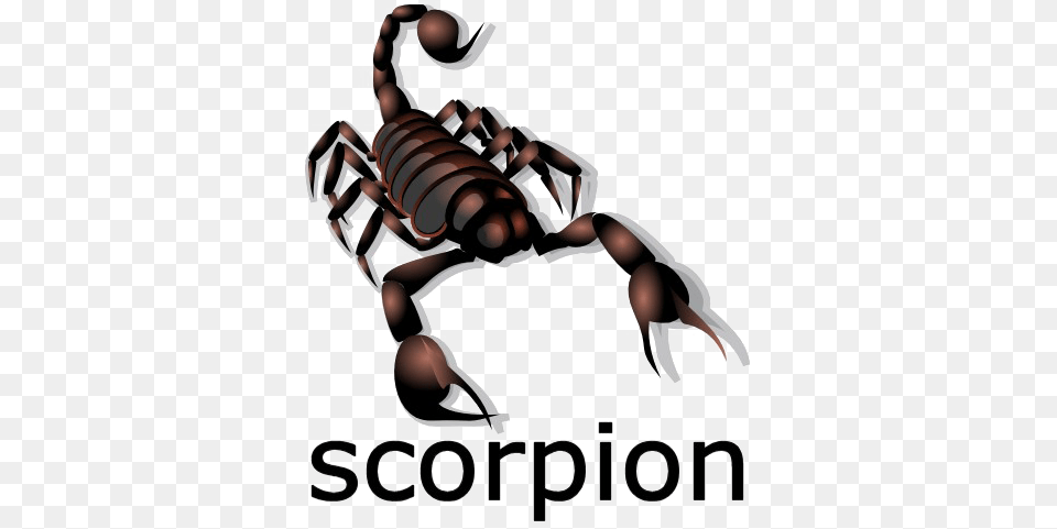 Download Scorpion Caution Scorpion, Animal, Invertebrate, Baby, Person Free Transparent Png