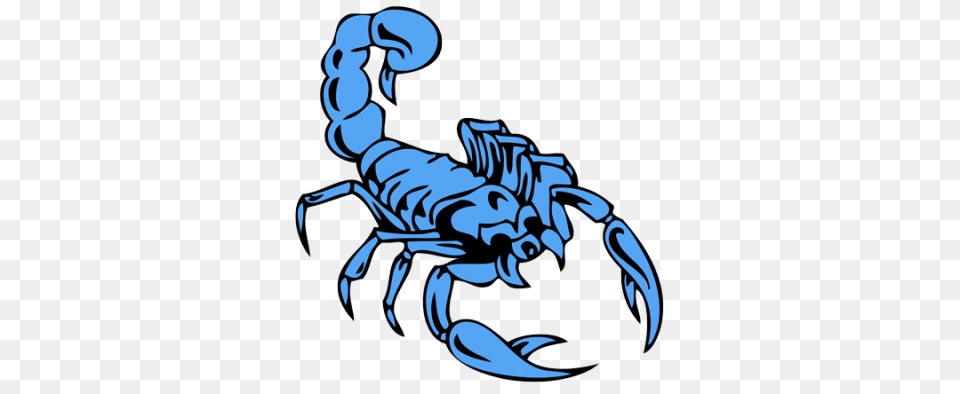 Scorpion Tattoos Transparent And Clipart, Animal, Invertebrate, Baby, Person Free Png Download