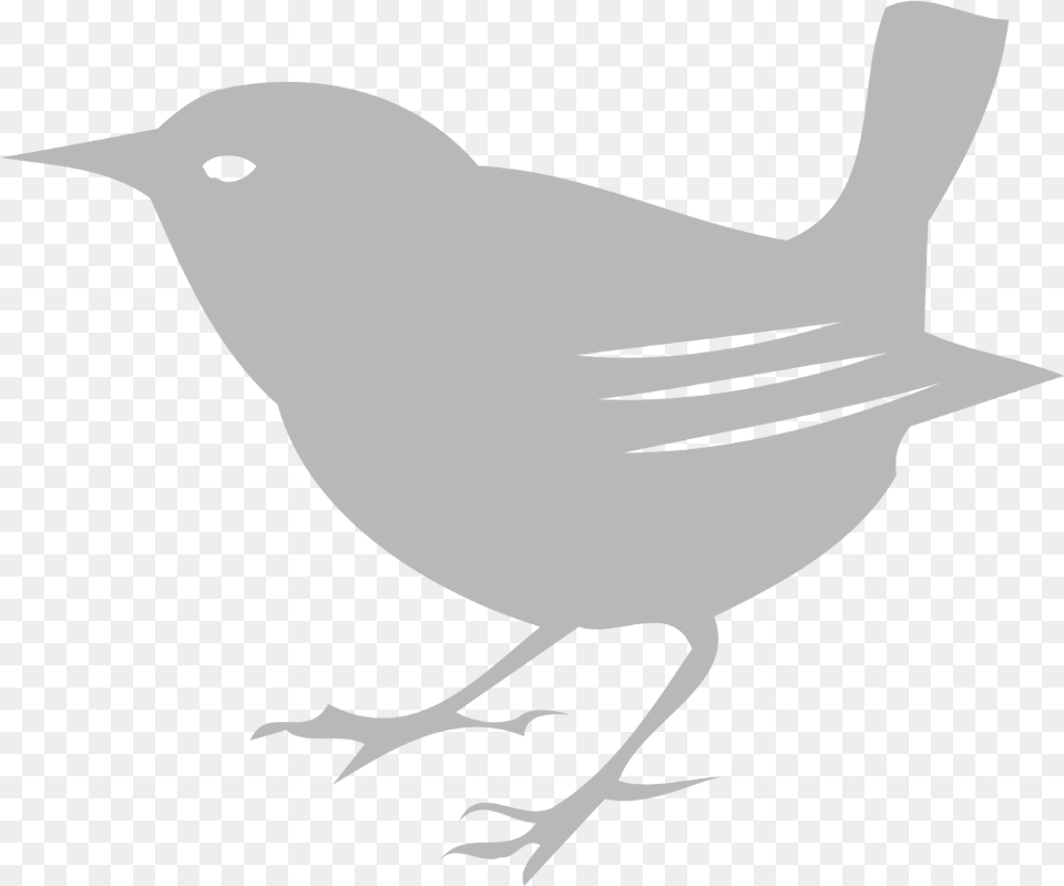 Download Scott Bird Scott Logo Bird Full Size Scott Productions Logo, Person, Stencil, Animal, Blackbird Png Image