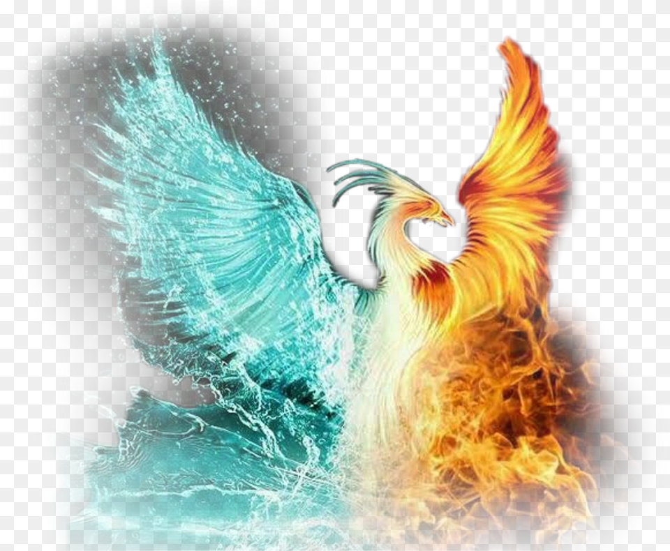 Download Scphoenix Phoenix Ice Fire Iceandfire Flame Fire And Ice Phoenix, Pattern, Adult, Female, Person Png Image