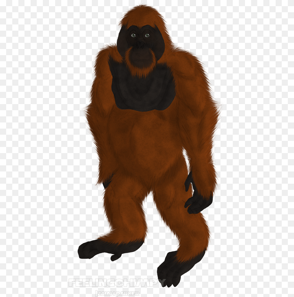 Download Scrapped Orangutan Monkey Full Size New World Monkey, Animal, Mammal, Wildlife, Ape Png Image