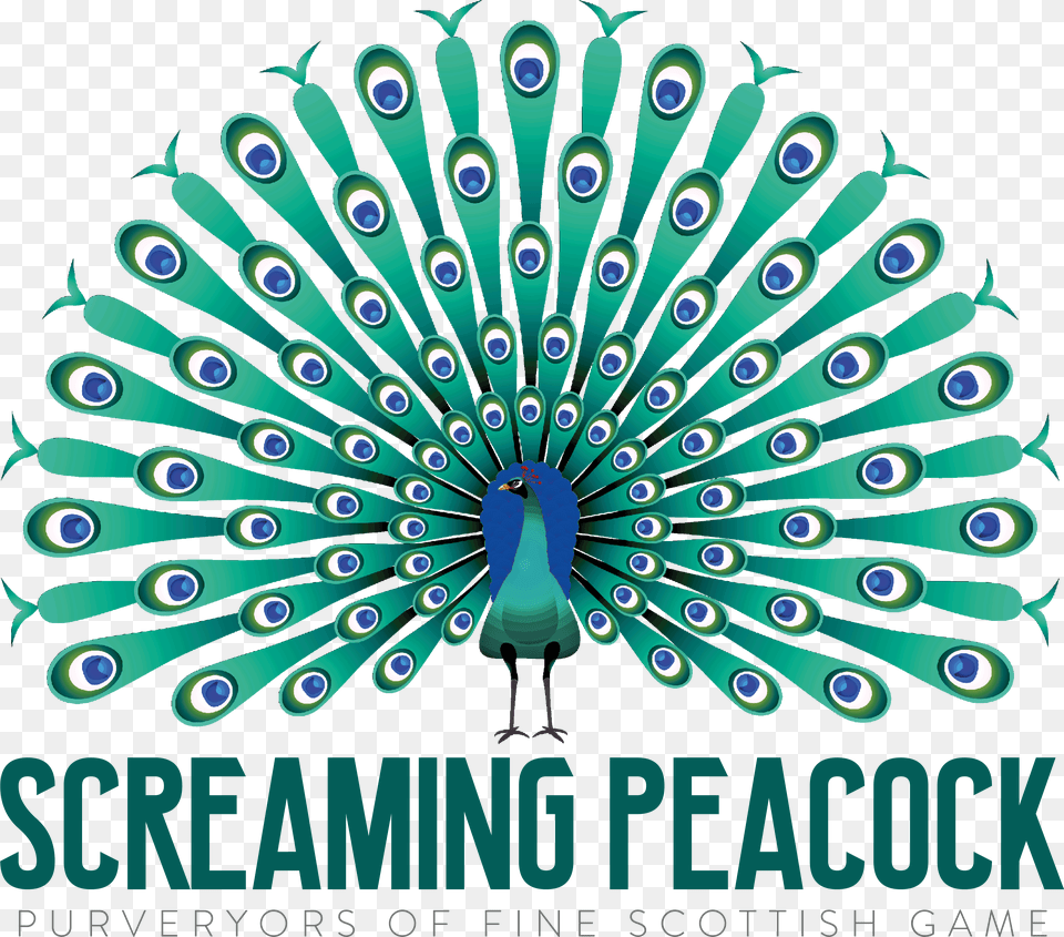 Download Screaming With, Animal, Bird, Peacock, Person Png Image