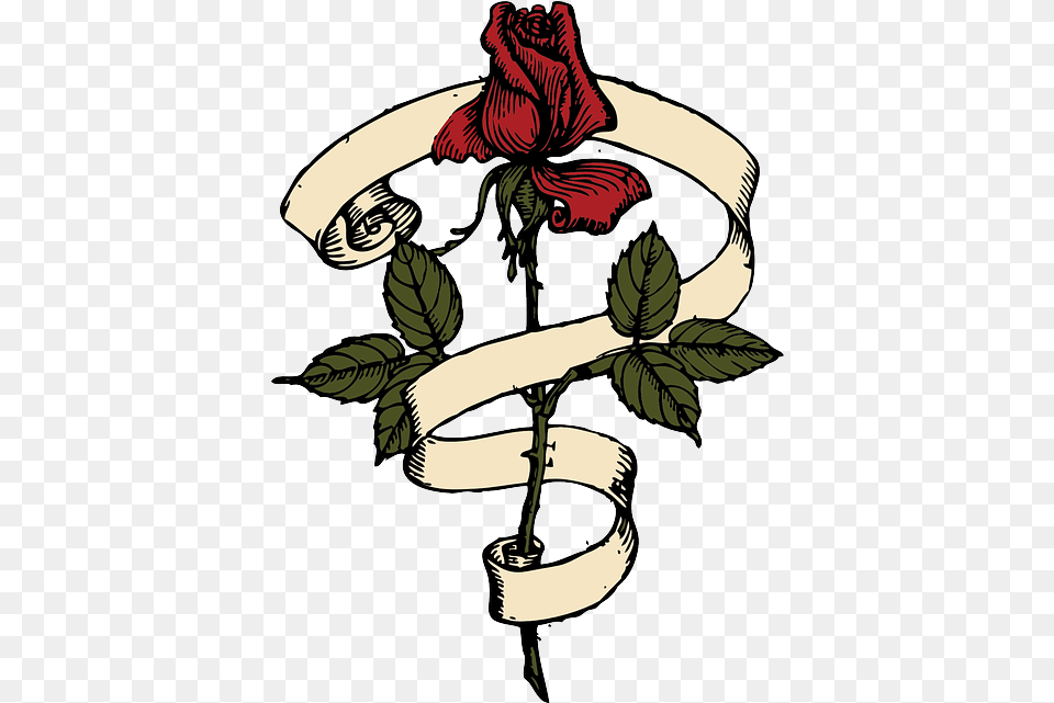 Scroll Tribal Outline Drawing Design Tree Rose Scroll, Flower, Plant, Adult, Female Free Png Download