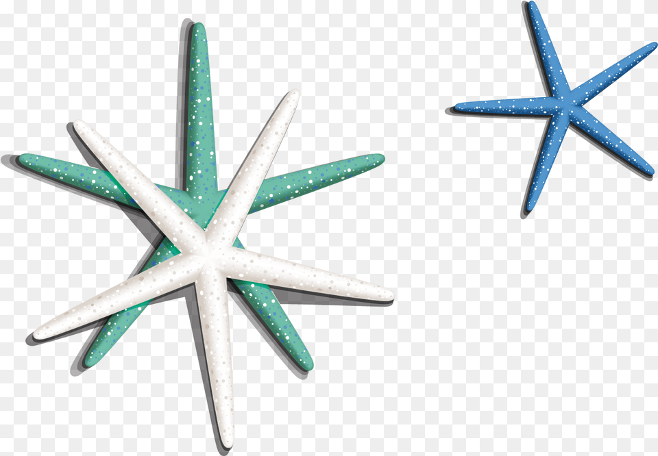 Download Sea Star Starfish, Cross, Symbol, Animal, Sea Life Png Image