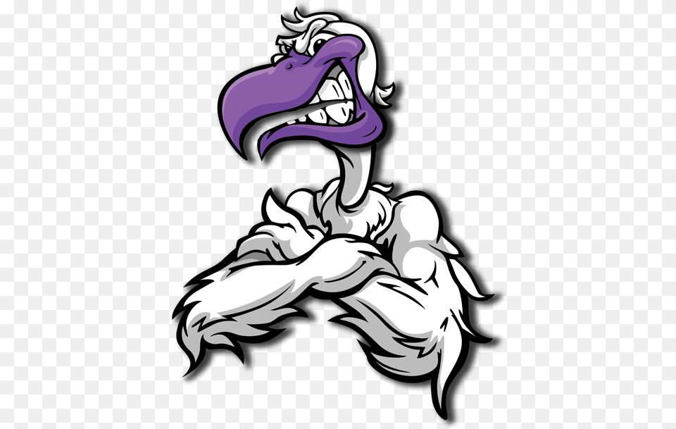 Download Seagull Uav Angry Seagull Cartoon Full Size Port Allen High Logo, Animal, Bird, Vulture, Baby Free Transparent Png