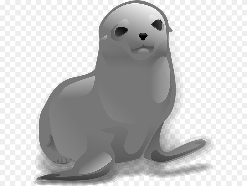 Download Seal Animal Seal Clip Art, Sea Lion, Sea Life, Mammal, Wildlife Png Image