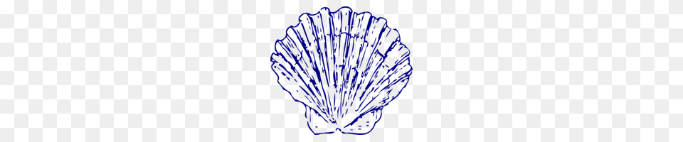 Download Seashell Category Clipart And Icons Freepngclipart, Animal, Clam, Food, Invertebrate Free Png