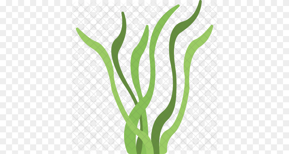 Download Seaweed Clipart Seaweed Clip Art Seaweed Sea, Grass, Plant, Food, Produce Png Image