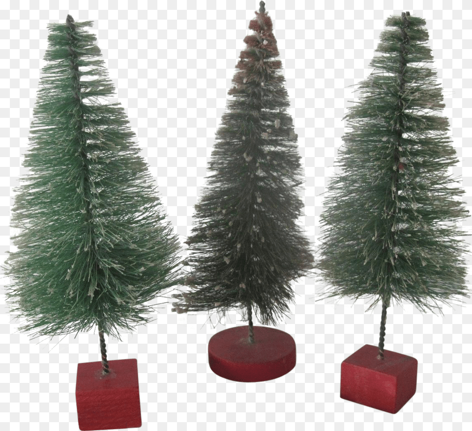 Download Set Of Three Vintage Miniature Bottle Brush Bottlebrush Christmas Trees, Plant, Tree, Fir, Christmas Decorations Free Transparent Png