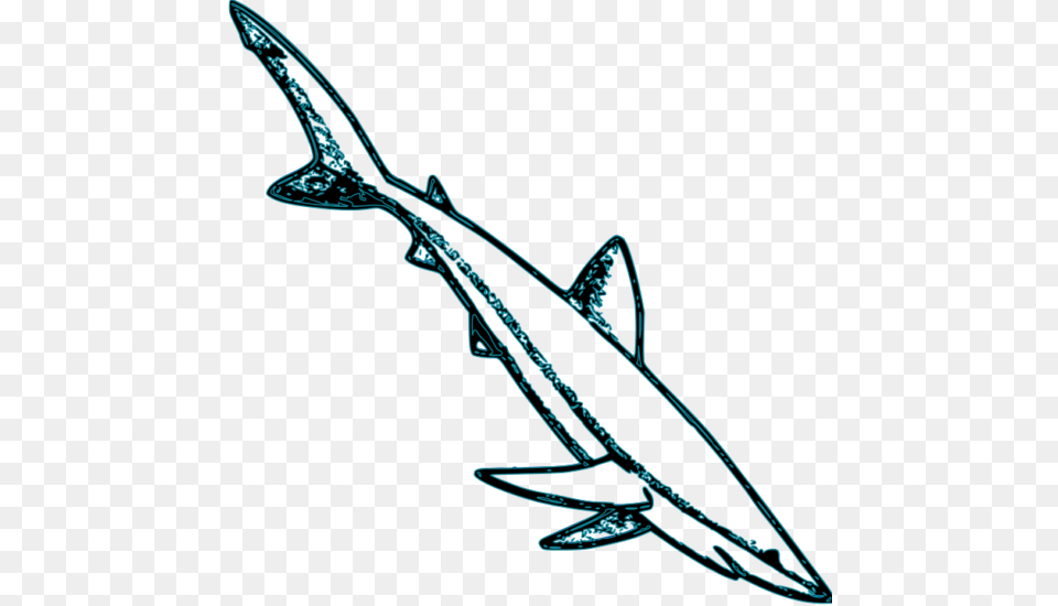 Download Shark Clipart For Your Project, Animal, Sea Life, Fish, Bow Free Png