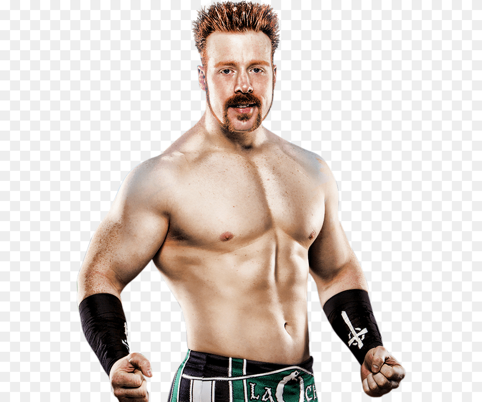 Download Sheamus File Sheamus, Adult, Person, Man, Male Png