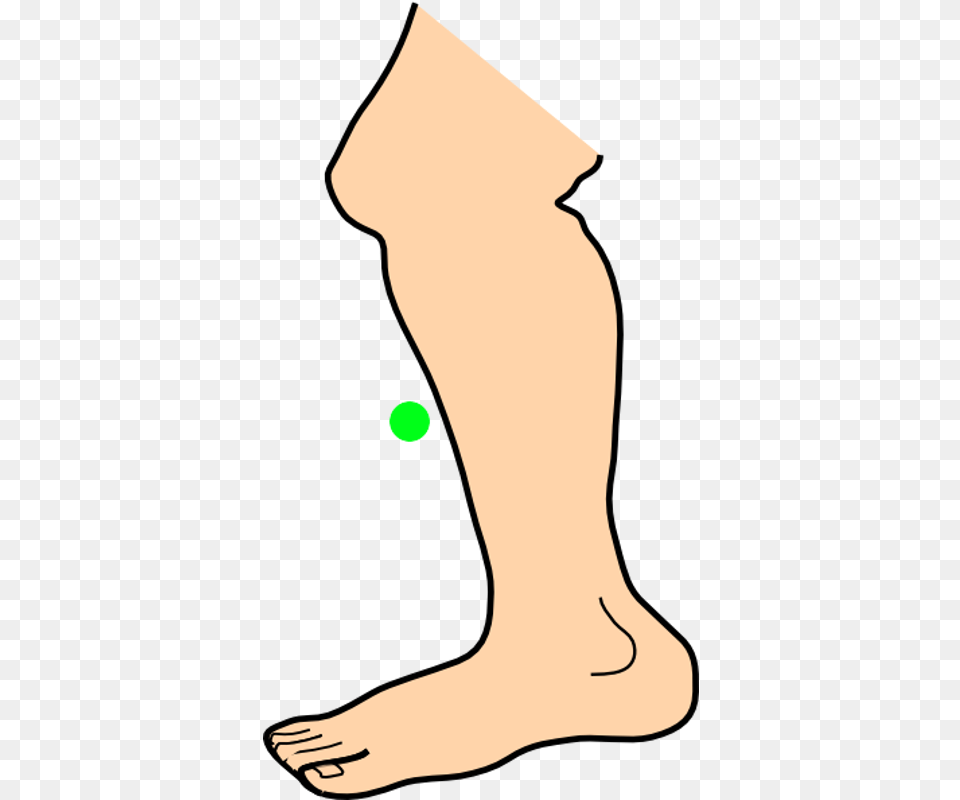 Download Shin Leg Clipart Animated Image With No Stomp Clipart, Ankle, Body Part, Person, Adult Free Png