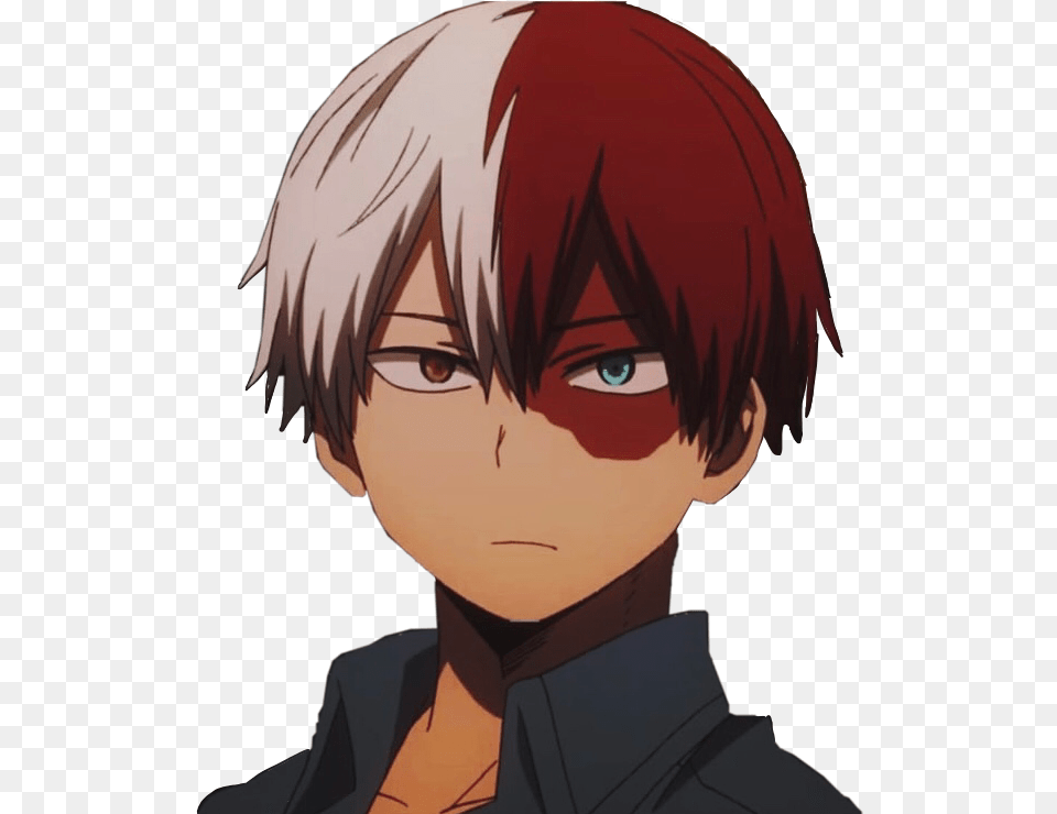 Download Shoto Todoroki Todorokishouto Anime Shoto Todoroki Pixel Art, Adult, Female, Person, Woman Free Transparent Png