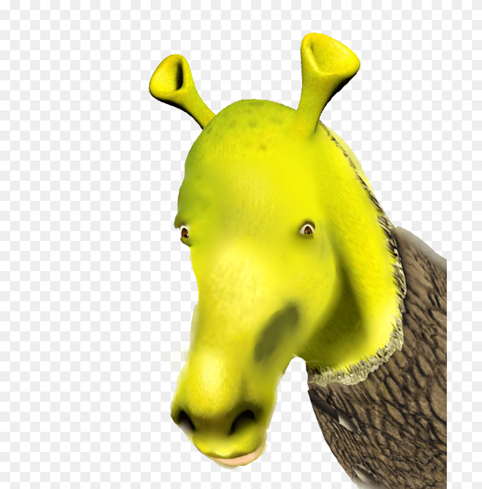 Download Shrek The Musical Film Series Drawing Youtube Donkey Shrek, Animal, Bird Free Transparent Png