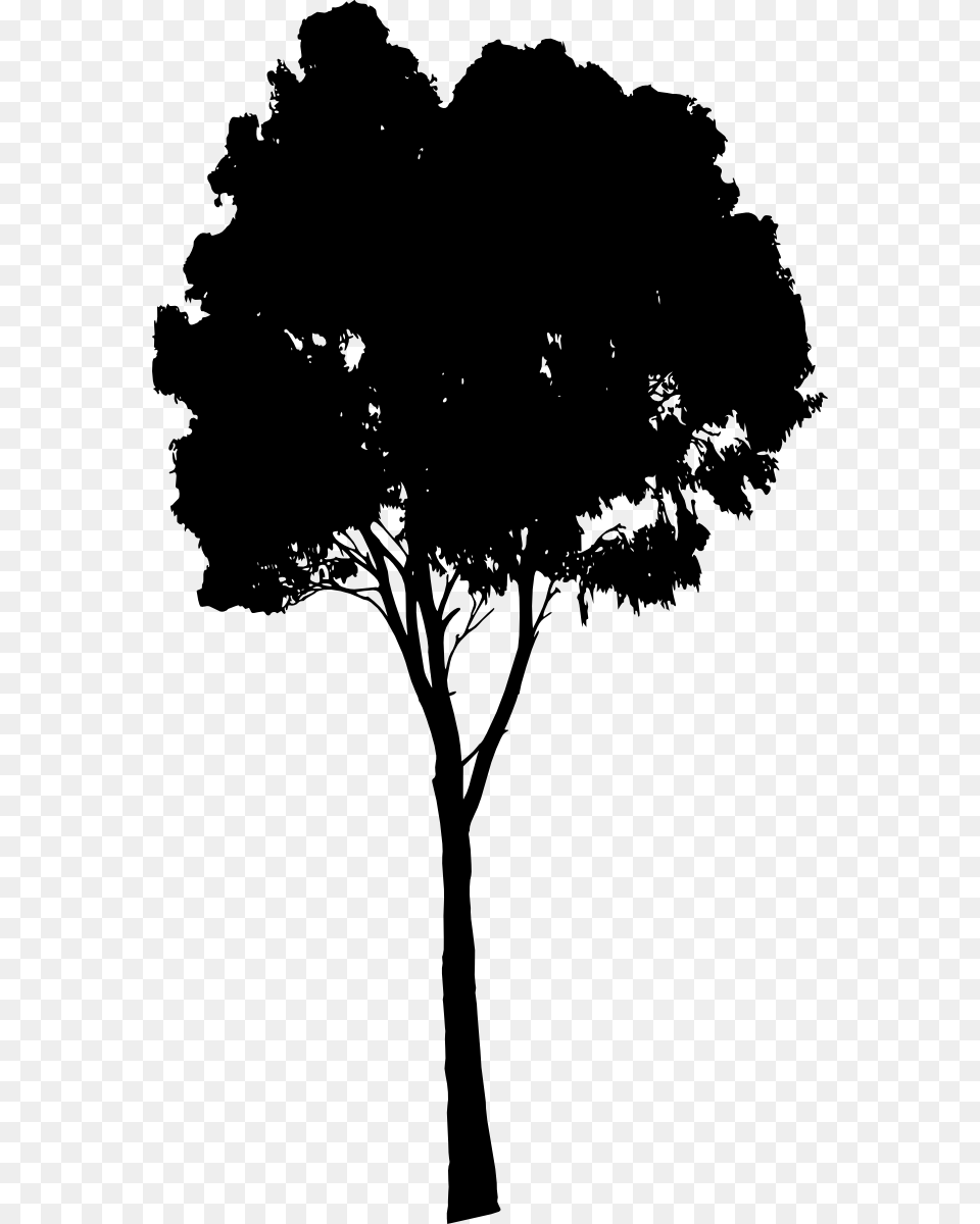 Silhouette, Plant, Tree, Tree Trunk, Person Free Png Download