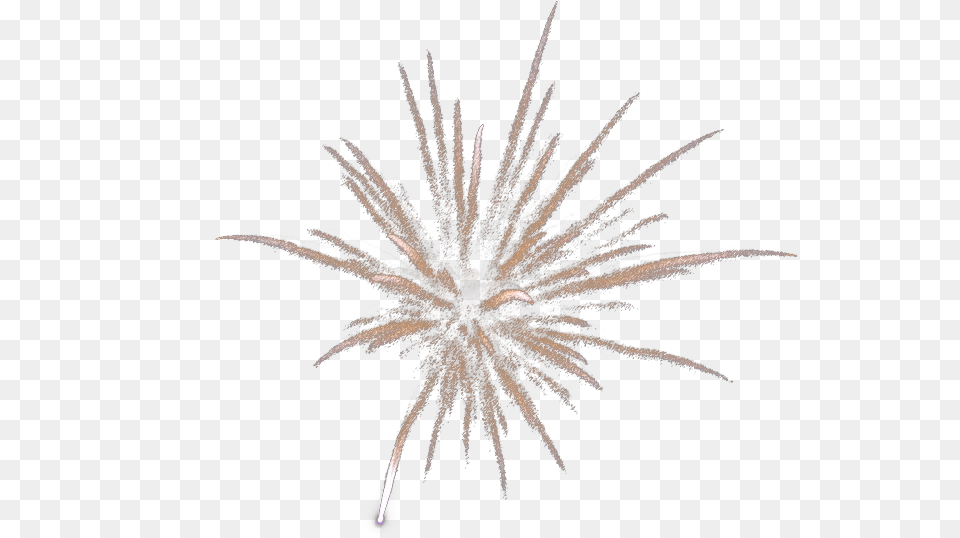 Download Silver Computer File Silver Transparent Fireworks, Plant Free Png
