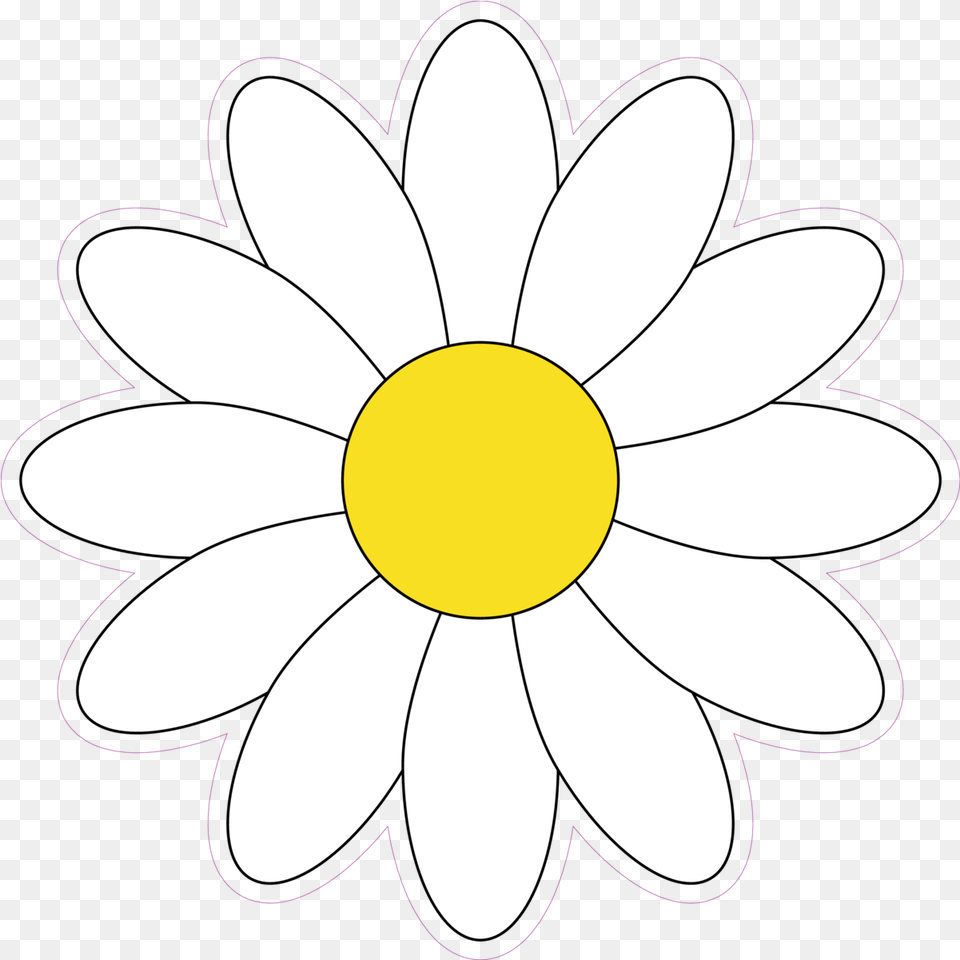 Simple White Daisy Flower Sunflower, Plant, Anemone, Petal, Chandelier Free Png Download