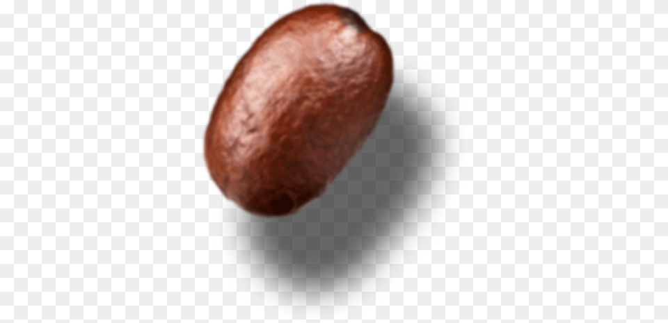 Download Single Coffee Bean Avocado, Food, Fruit, Plant, Produce Free Transparent Png