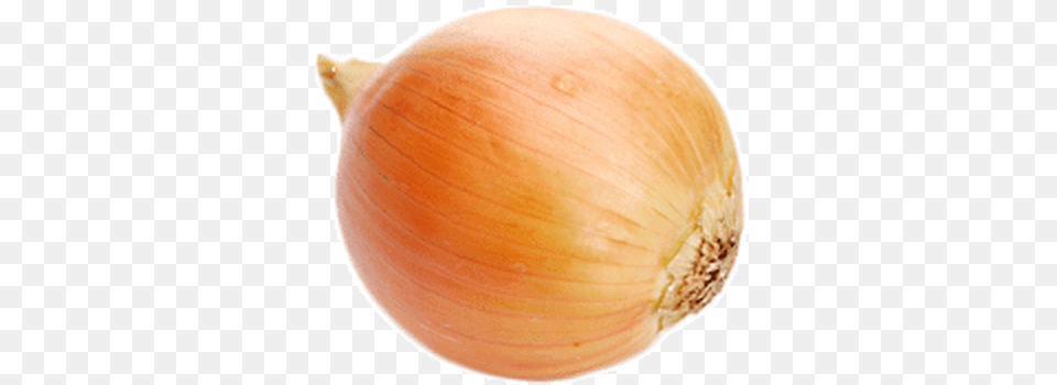 Download Single Onion Onion Food, Produce, Plant, Vegetable Free Transparent Png