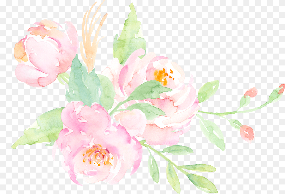 Size Common Peony, Electronics, Mobile Phone, Phone, Text Free Png Download