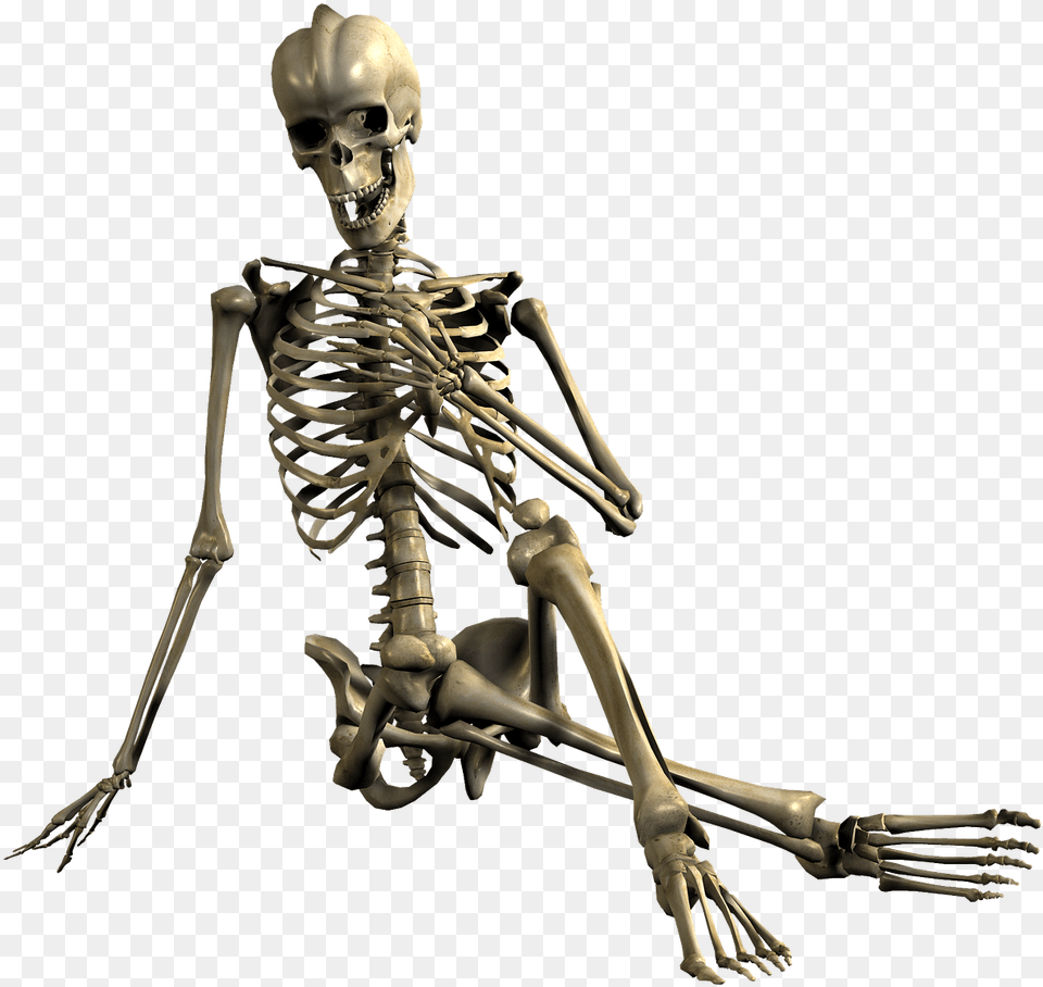 Download Skeleton, Person, Face, Head Free Transparent Png