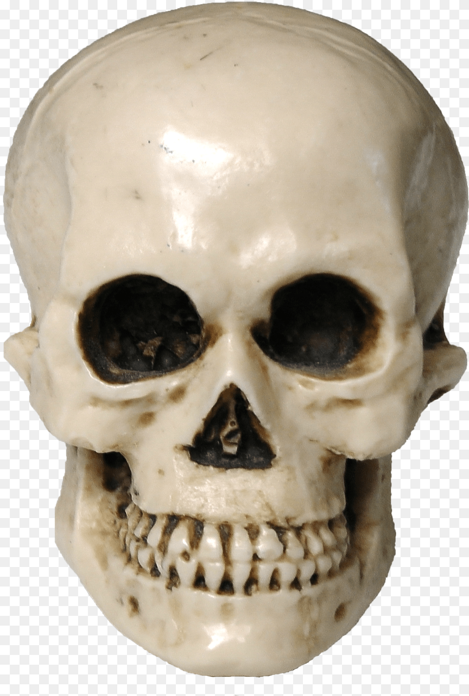 Skull Image For Skeleton, Text, Alphabet Free Png Download