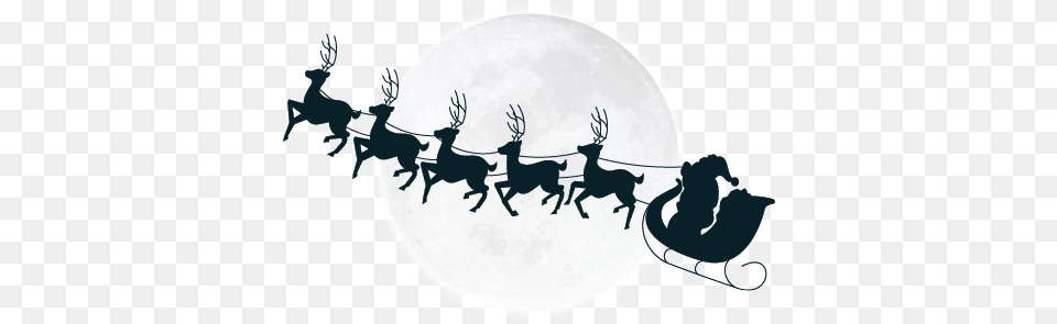 Download Sleigh Silhouette Santa Head Letters Lilo And Stitch Christmas, Animal, Mammal, Deer, Wildlife Png