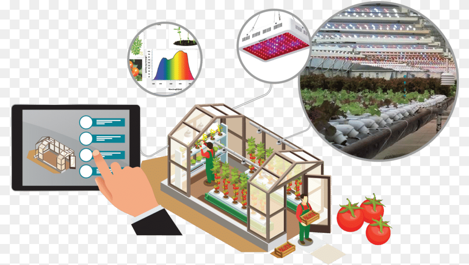 Smart Greenhouse Lighting Smart Greenhouse, Garden, Gardening, Nature, Outdoors Free Png Download