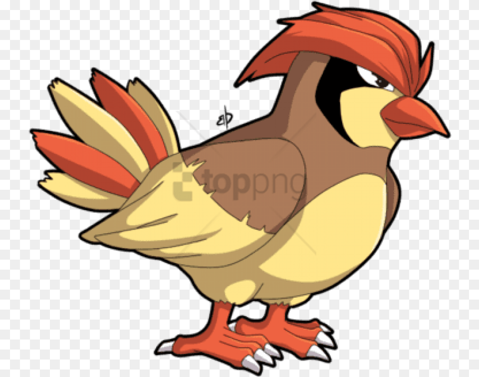 Download Smosh Pokemon Pidgey Cartoon Bird With Hair, Animal, Beak, Fish, Sea Life Png Image