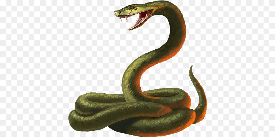 Download Snake Cobra Snake Background, Animal, Reptile Free Png