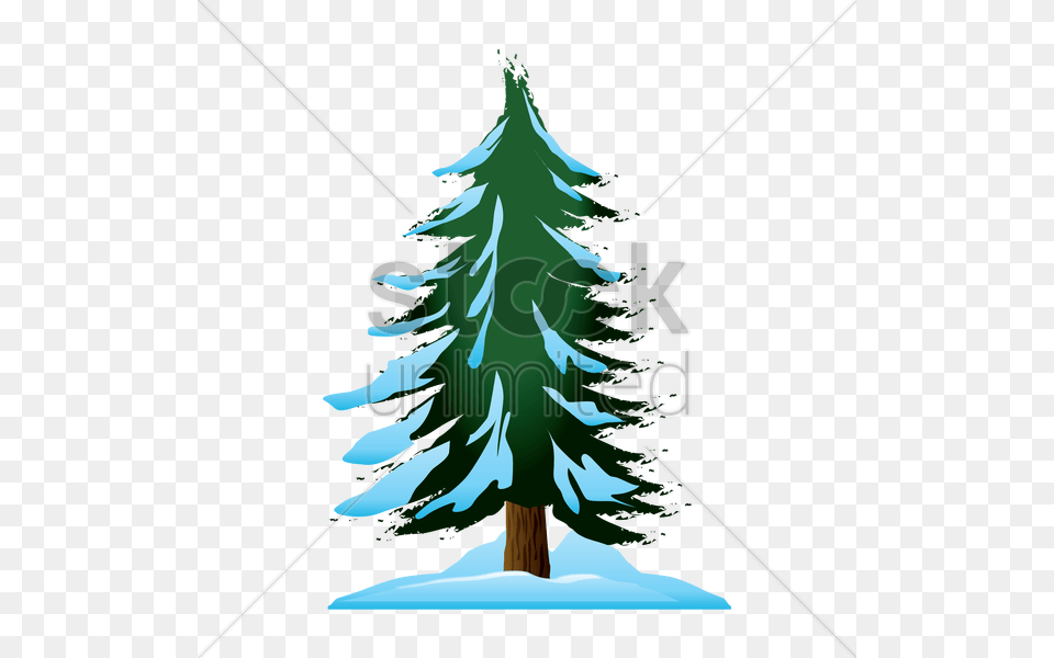 Download Snow Pine Trees Icon Clipart Christmas Tree Pine Fir, Plant, Conifer, Christmas Decorations, Festival Png
