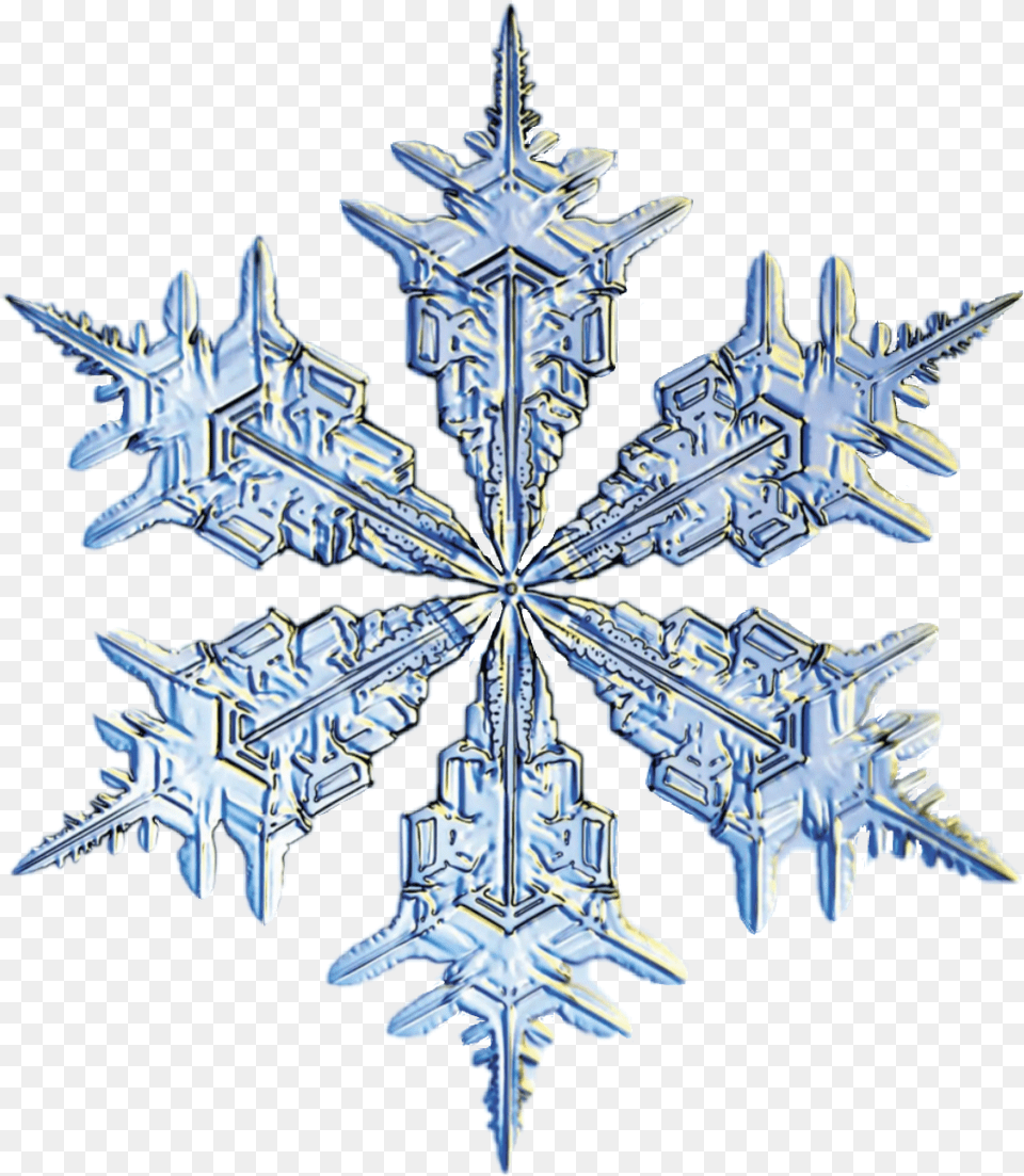 Download Snowflake Animated Image Spring 44 Logo, Nature, Outdoors, Snow, Animal Png