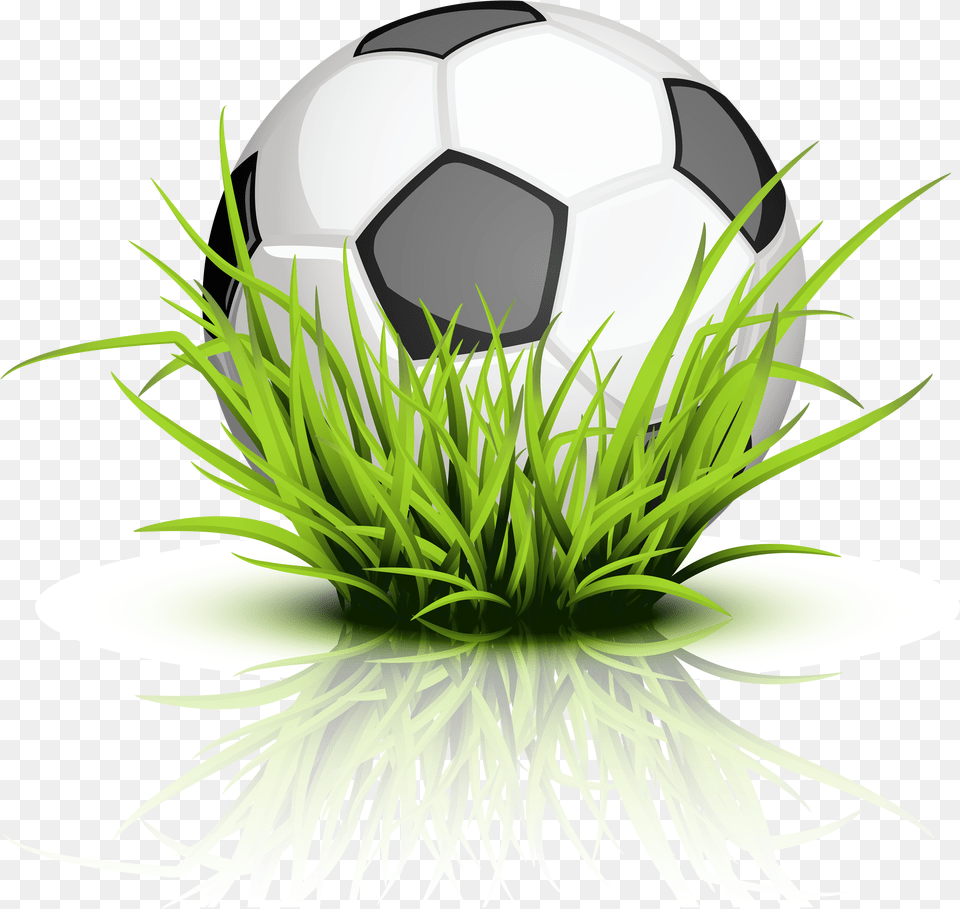 Soccer Ball Grass Football Grass Clipart, Soccer Ball, Sport, Plant Free Png Download