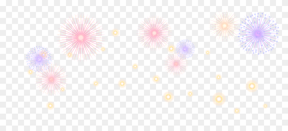 Download Sparkle Image Floral Design Full Size Fireworks Png