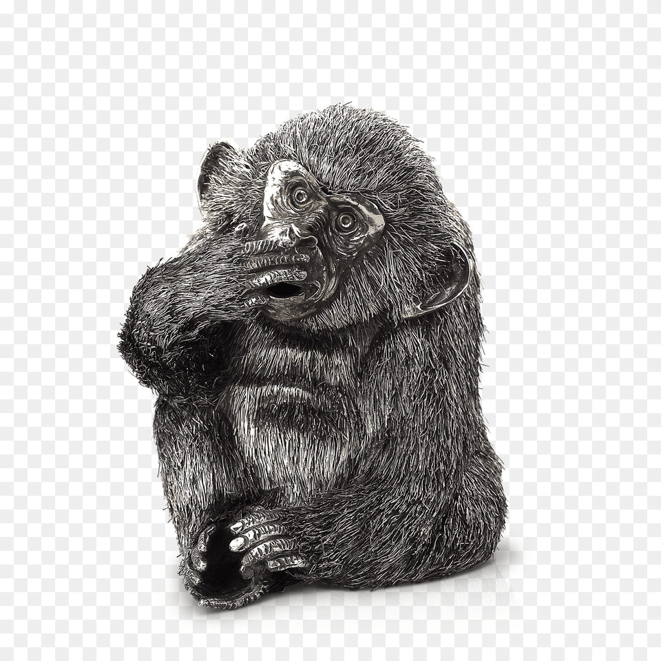 Speak No Evil Monkey Mobile Phone Full Size Titi, Animal, Ape, Mammal, Wildlife Free Png Download