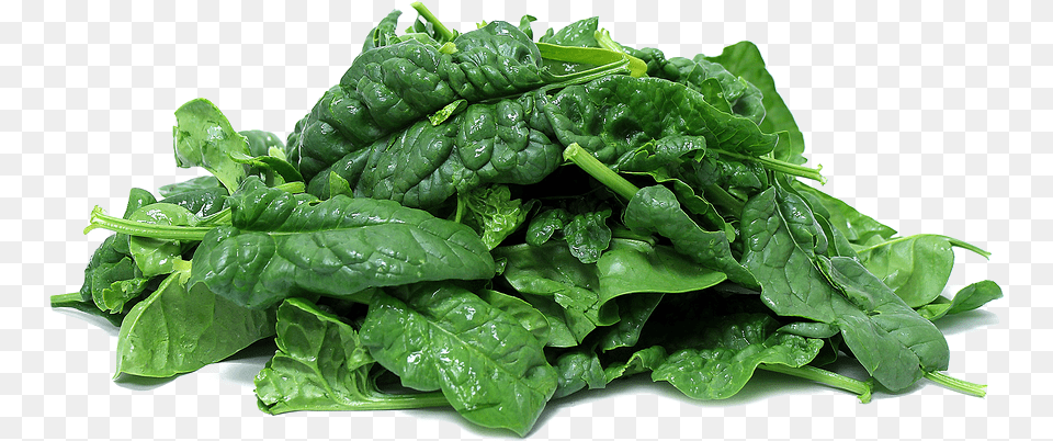 Download Spinach Clipart Spinach, Food, Leafy Green Vegetable, Plant, Produce Png Image