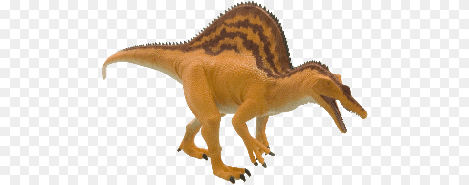Download Spinosaurus Image With No Animal Figure, Dinosaur, Reptile, T-rex Free Transparent Png