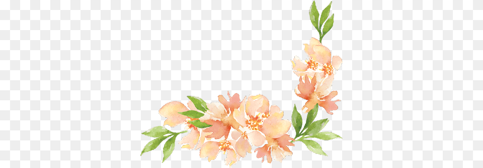 Download Spring Flowers Incentive Kate Spade Flowers Clipart, Flower, Plant, Petal, Rose Free Transparent Png