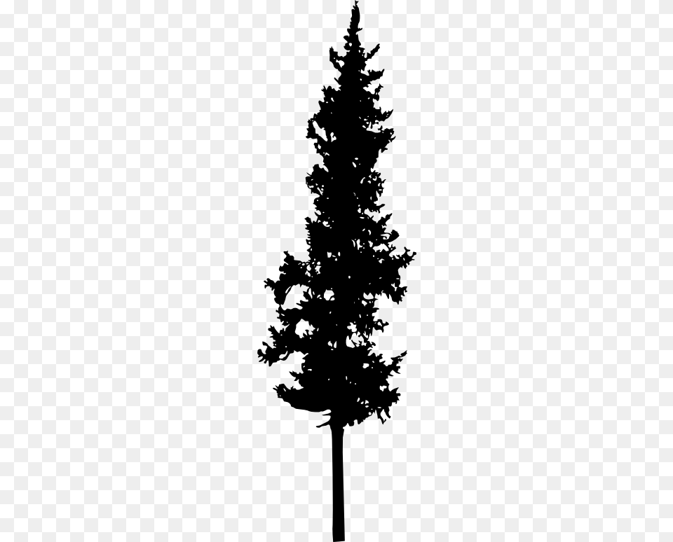 Spruce Branches Silhouette Setpine Conesdecor Portable Network Graphics, Fir, Pine, Plant, Tree Free Png Download