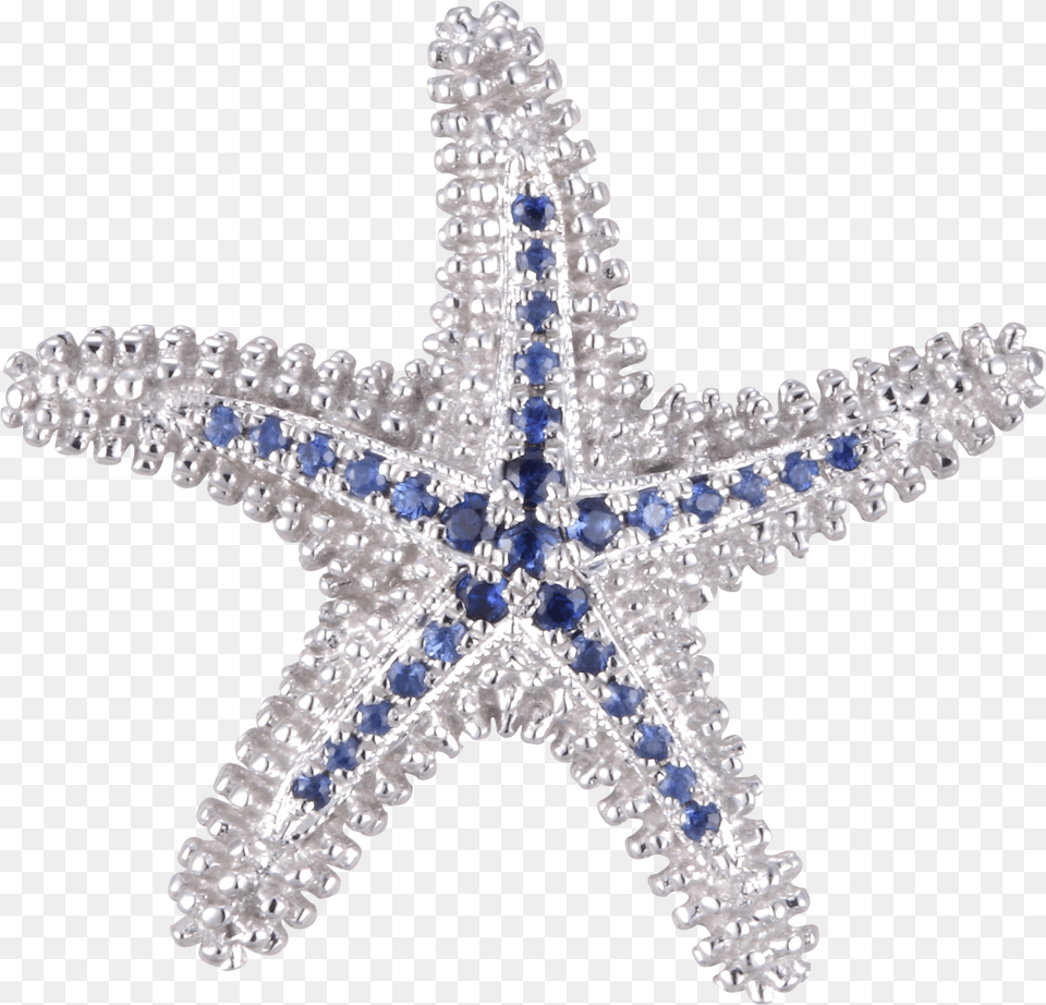 Download Starfish Beach Collection Char Portable Network Graphics Png