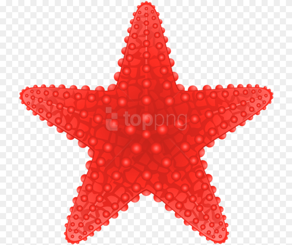 Download Starfish Clipart Starfish Clip Art, Animal, Sea Life Png