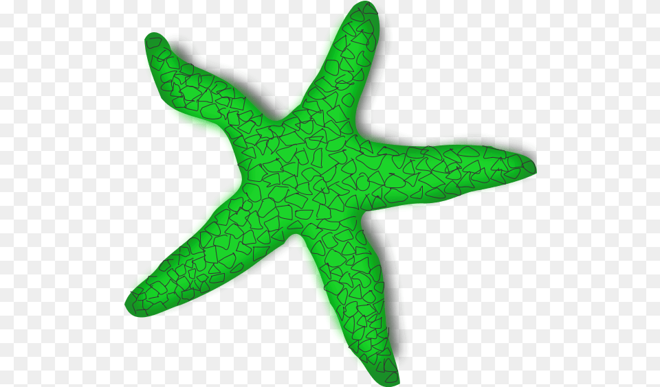 Download Starfishpngtransparentimagestransparent Starfish Clip Art, Animal, Sea Life, Invertebrate, Reptile Free Transparent Png