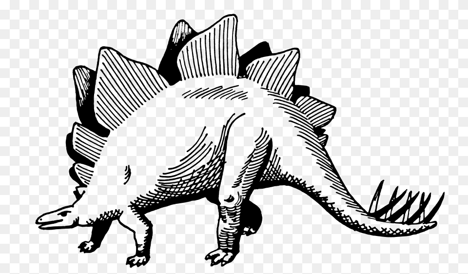 Download Stegosaurus Clipart, Gray Free Png