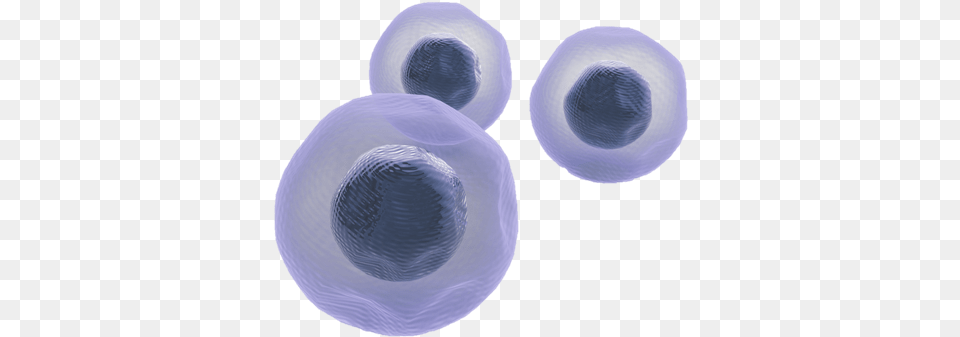 Download Stemcells Soft, Clothing, Hat, Sun Hat, Sphere Free Png