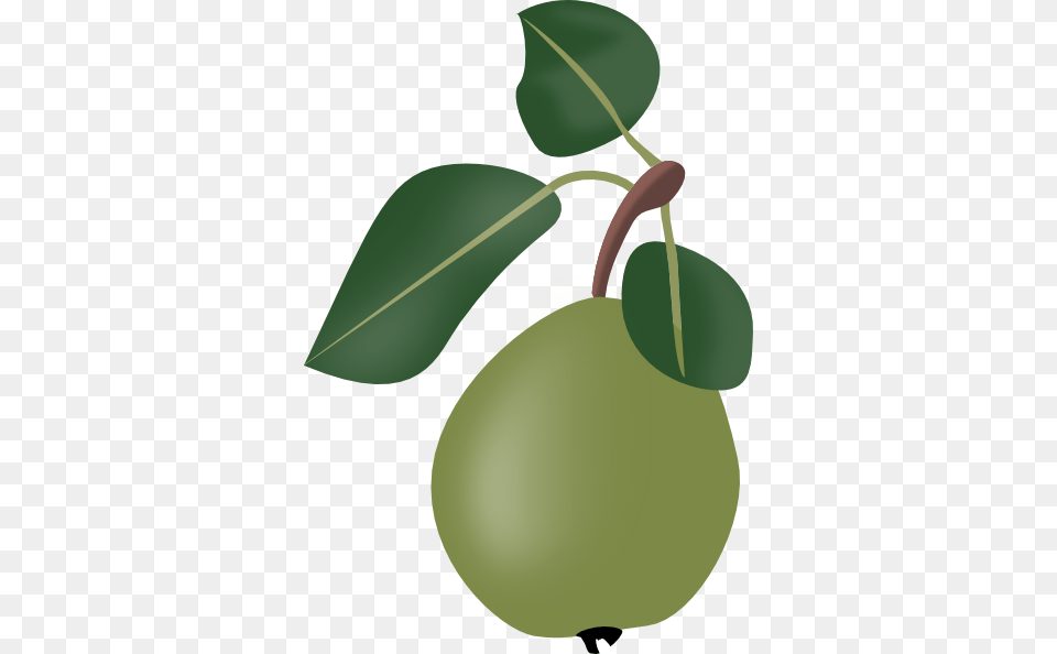 Download Stew Pear With Leafs Clipart, Food, Fruit, Plant, Produce Free Transparent Png