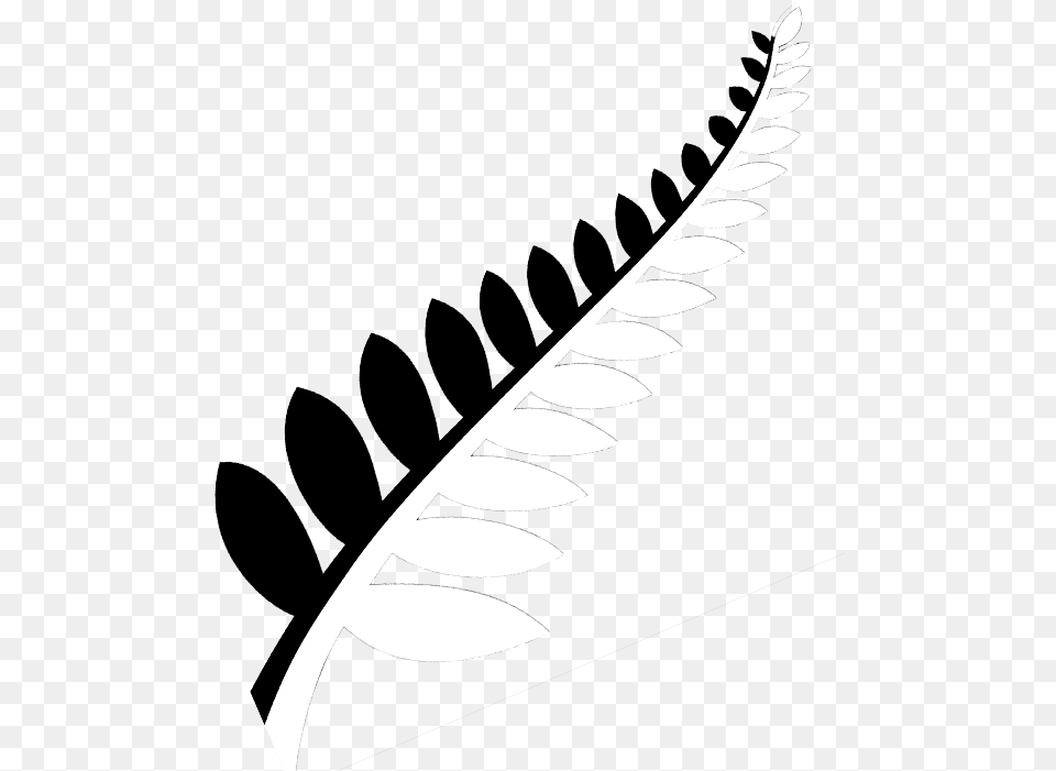 Stock Practicepte Newzealand Universities Study In New Zealand Leaf Logo, Fern, Plant, Art Free Png Download
