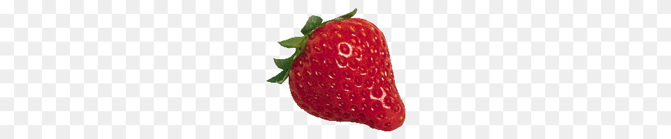 Download Strawberry Free Photo And Clipart Freepngimg, Berry, Food, Fruit, Plant Png Image