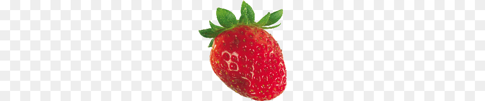 Download Strawberry Photo Images And Clipart Freepngimg, Berry, Food, Fruit, Plant Png Image