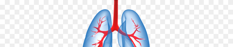 Download Striped Dress Background For Designing Free Transparent Png